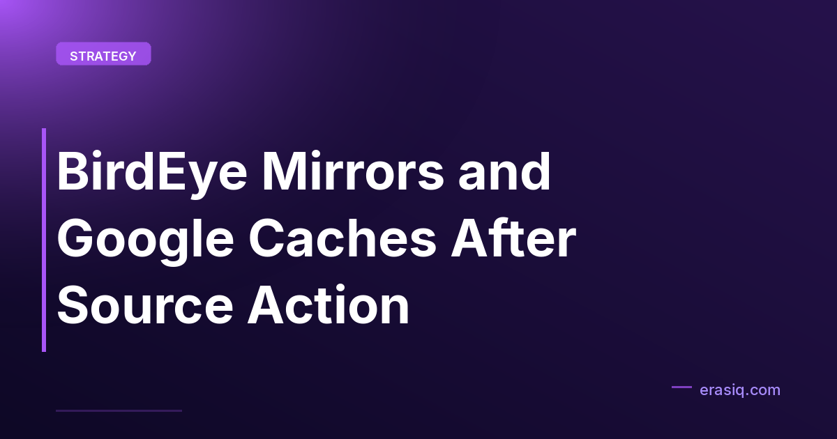 BirdEye Mirrors and Google Caches After Source Action