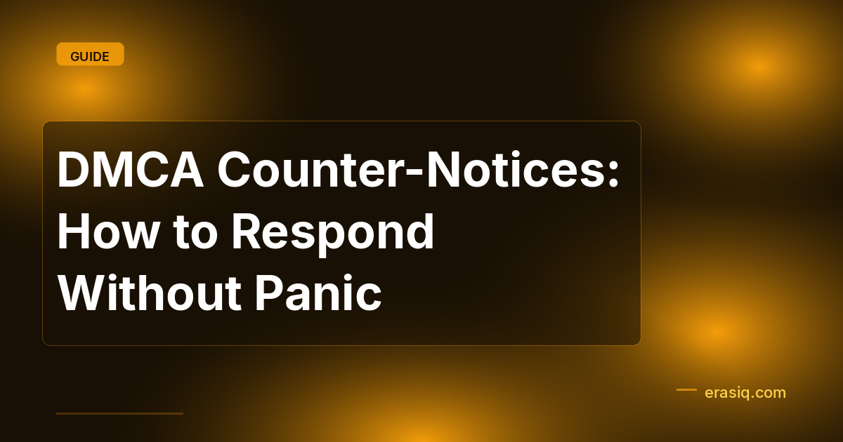 DMCA Counter-Notices: How to Respond Without Panic