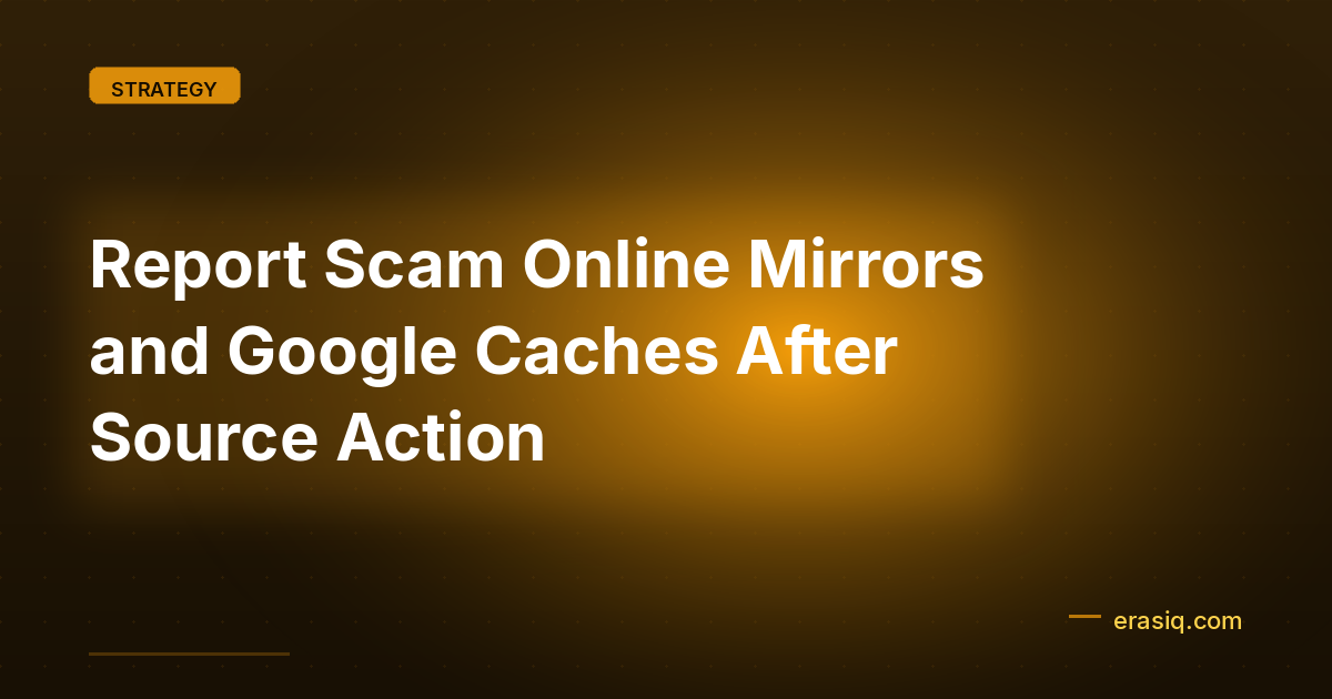 Report Scam Online Mirrors and Google Caches After Source Action